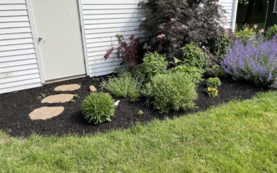 Your Best Property Yet: A Little Landscaping and Lawn Maintenance Go a Long Way!